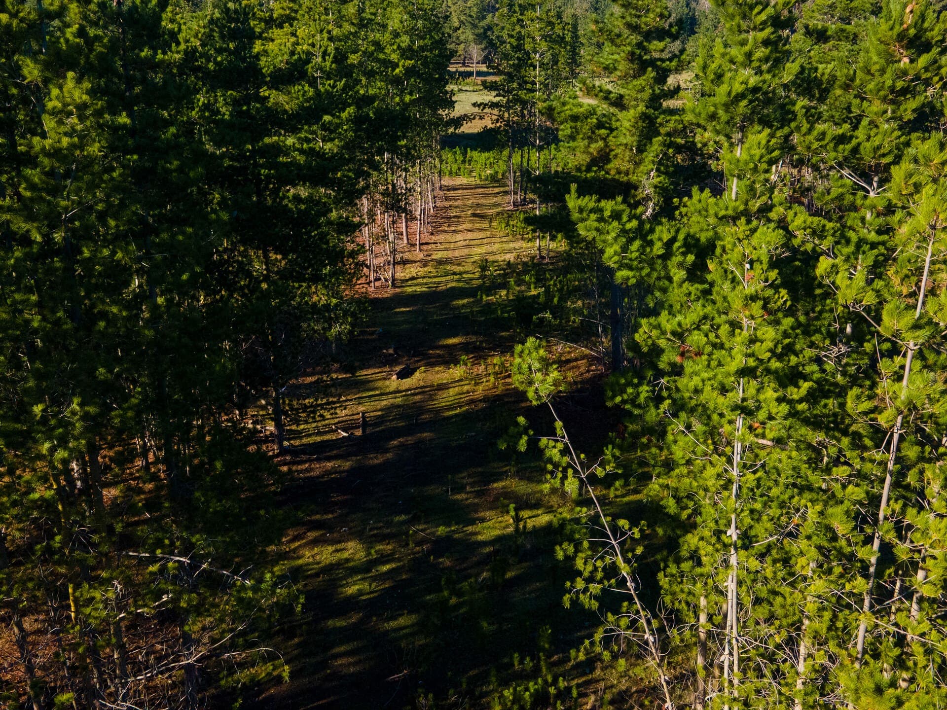 Acceso y caminos interiores del condominio